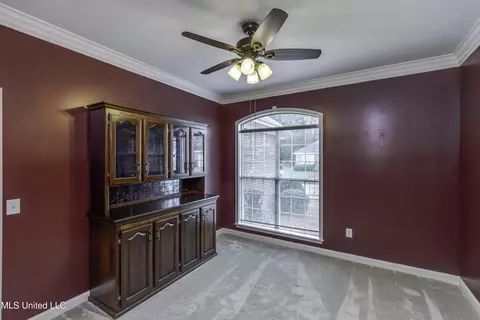Other - 133 Pavilion Dr, Brandon, MS 39042 photo 11 of 14