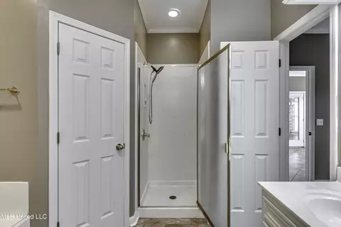 Bath - 133 Pavilion Dr, Brandon, MS 39042 photo 1 of 6