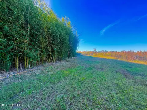 Darbun China Grove Road, Sandy Hook, MS 39478
