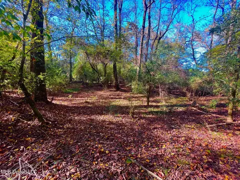 Darbun China Grove Road, Sandy Hook, MS 39478 photo 18