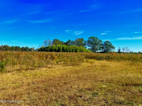 Darbun China Grove Road, Sandy Hook, MS 39478 photo 7
