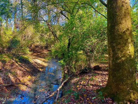 Darbun China Grove Road, Sandy Hook, MS 39478 photo 12