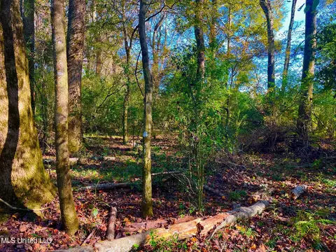 Darbun China Grove Road, Sandy Hook, MS 39478 photo 13