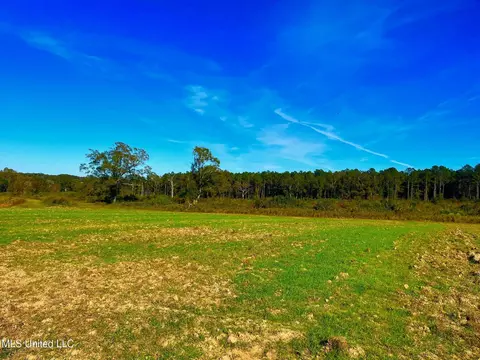 Darbun China Grove Road, Sandy Hook, MS 39478 photo 3