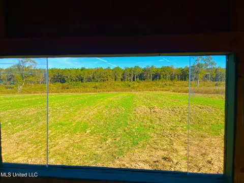 Darbun China Grove Road, Sandy Hook, MS 39478 photo 4