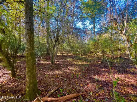 Darbun China Grove Road, Sandy Hook, MS 39478 photo 11
