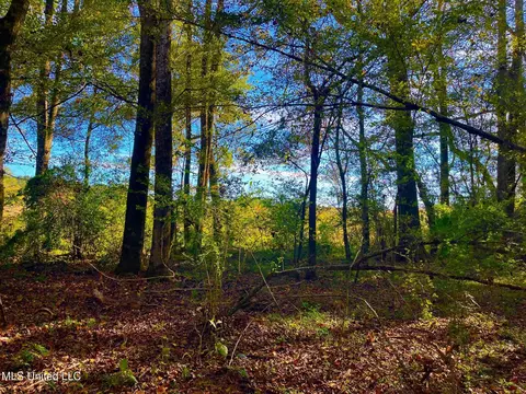 Darbun China Grove Road, Sandy Hook, MS 39478 photo 14