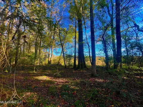 Darbun China Grove Road, Sandy Hook, MS 39478 photo 15