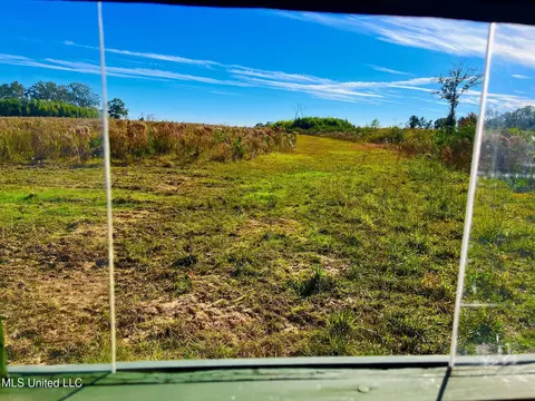 Darbun China Grove Road, Sandy Hook, MS 39478 photo 5