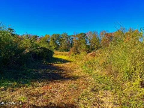 Darbun China Grove Road, Sandy Hook, MS 39478 photo 9