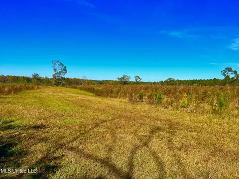 Darbun China Grove Road, Sandy Hook, MS 39478 photo 6