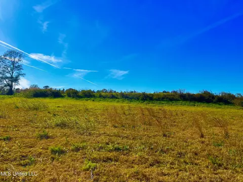 Darbun China Grove Road, Sandy Hook, MS 39478 photo 8