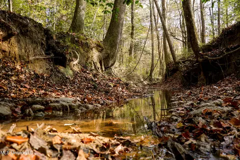Les Harwell Road, Collinsville, MS 39325