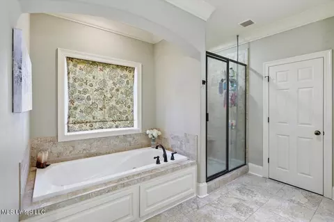 Bath - 121 Grayhawk Cv, Madison, MS 39110 photo 3 of 4