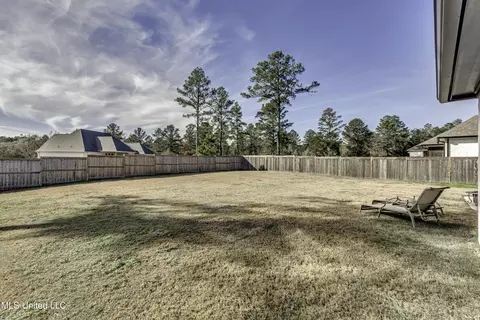 209 Herons Bay Cir, Madison, MS 39110 photo 53