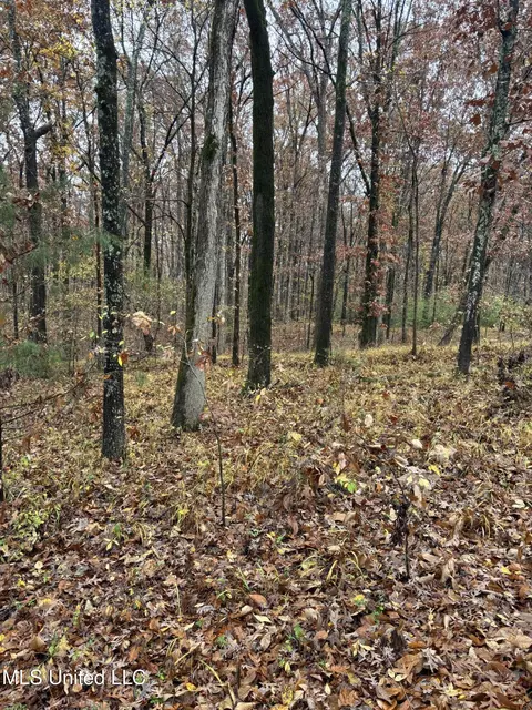 Alexander Drive, Olive Branch, MS 38654 photo 3