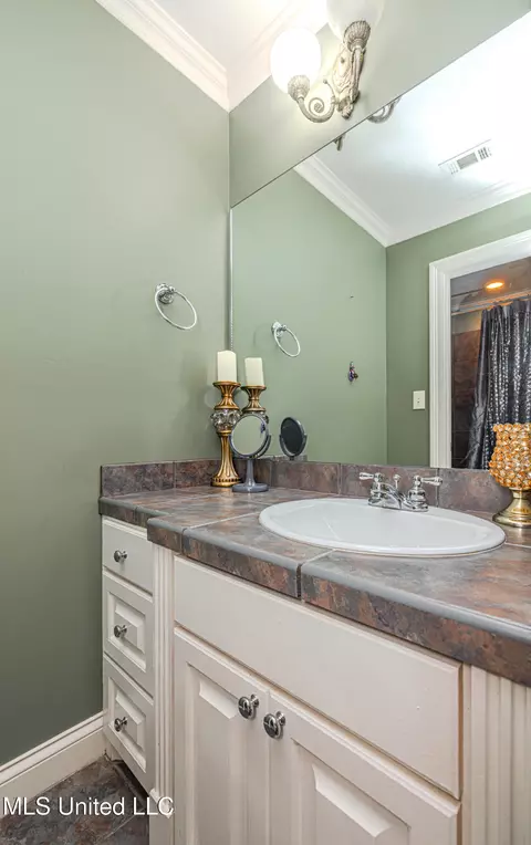 Bath - 103 Roberts Dr, Madison, MS 39110 photo 2 of 12