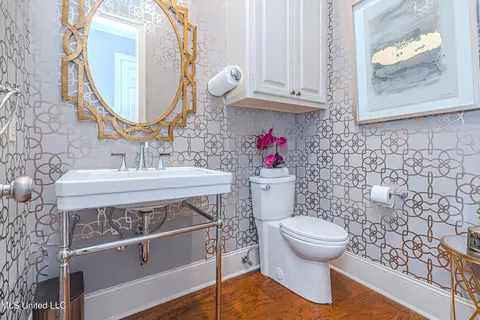 Bath - 103 Roberts Dr, Madison, MS 39110 photo 1 of 12