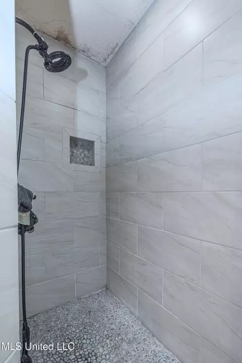 Bath - 103 Roberts Dr, Madison, MS 39110 photo 11 of 12