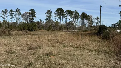 01 Norris-homewood Rd, Forest, MS 39074 photo 6