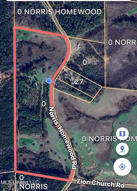 01 Norris-homewood Rd, Forest, MS 39074