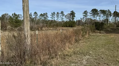 01 Norris-homewood Rd, Forest, MS 39074 photo 4
