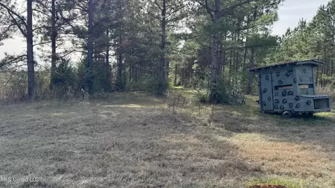 01 Norris-homewood Rd, Forest, MS 39074 photo 5
