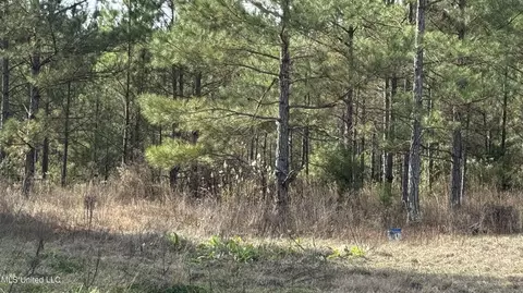 01 Norris-homewood Rd, Forest, MS 39074 photo 2