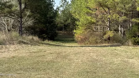 01 Norris-homewood Rd, Forest, MS 39074 photo 3