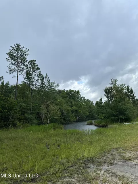 26 1 Acres Brinkman Rd, Moss Point, MS 39562 photo 9