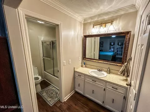 Bath - 252 Woodgate Ln, Brandon, MS 39042 photo 1 of 6
