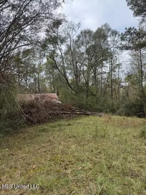 00 Coons Mill Rd, Centreville, MS 39631