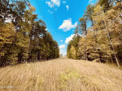 Ms Highway 12, Durant, MS 39063 photo 17