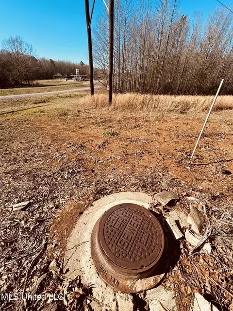 Ms Highway 12, Durant, MS 39063 photo 6