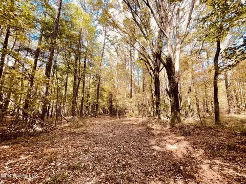 Ms Highway 12, Durant, MS 39063 photo 14