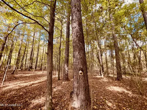 Ms Highway 12, Durant, MS 39063 photo 16