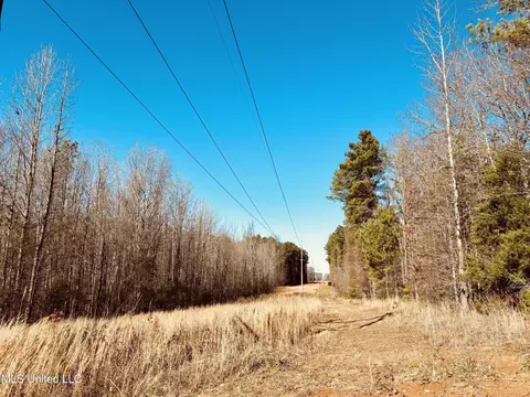 Ms Highway 12, Durant, MS 39063 photo 5