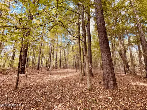 Mississippi 12, Durant, MS 39063 photo 13