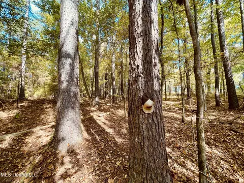 Mississippi 12, Durant, MS 39063 photo 11