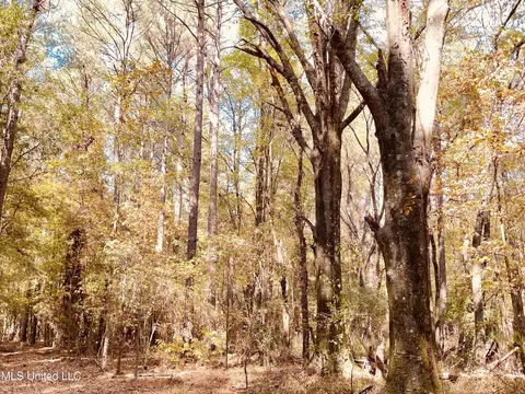 Mississippi 12, Durant, MS 39063 photo 12