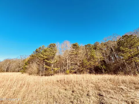 Mississippi 12, Durant, MS 39063 photo 6