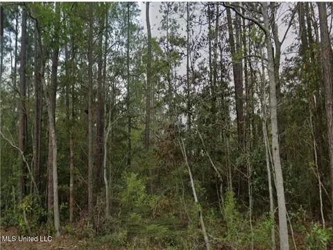 Erie St, Bay Saint Louis, MS 39520