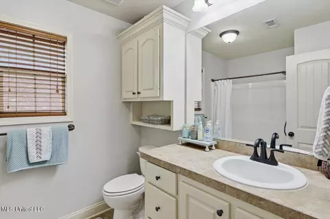Bath - 172 Memory Ln, Madison, MS 39110 photo 3 of 3