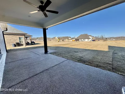 Exterior - 1762 Bakersfield Way, Nesbit, MS 38651 photo 6 of 7