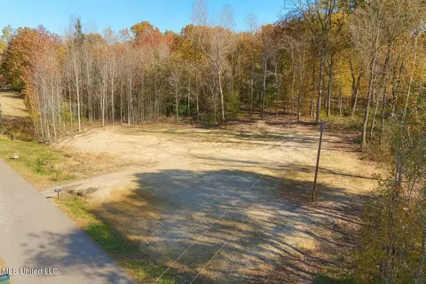 62 Shamrock Loop, Byhalia, MS 38611 photo 3