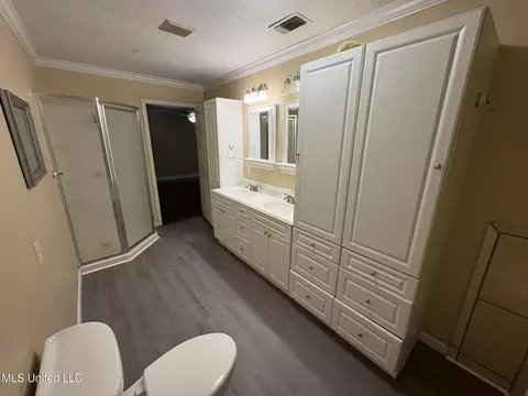 Bath - 11828 Ormond Rd, Moss Point, MS 39562 photo 6 of 6