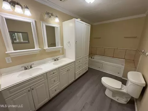 Bath - 11828 Ormond Rd, Moss Point, MS 39562 photo 4 of 6