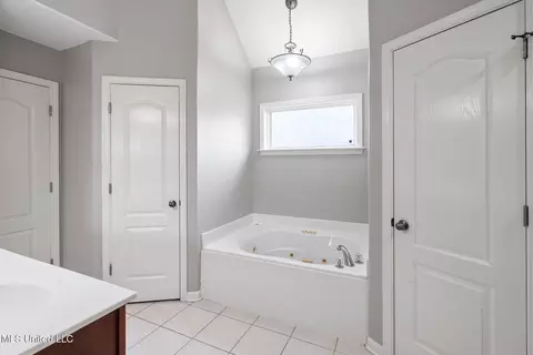 Bath - 729 Mossy Oak Cv, Hernando, MS 38632 photo 1 of 3