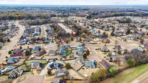 View/Area - 729 Mossy Oak Cv, Hernando, MS 38632 photo 6 of 6