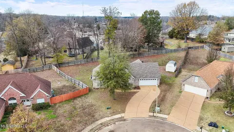 View/Area - 729 Mossy Oak Cv, Hernando, MS 38632 photo 2 of 6